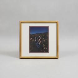 Quadro Fotografia de Vindima