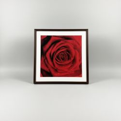 Fotografia floral com moldura