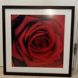 Fotografia floral com moldura