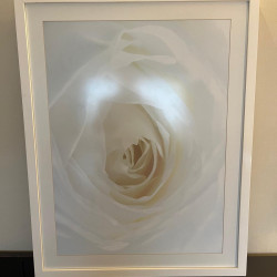 Quadro moderno com moldura branca e temática floral com tons claros