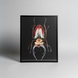 Moldura Preta 78,5 cm x 98,5 cm