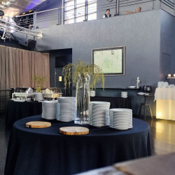 Conjunto de 2 cortinados grandes veludo sintético cinza