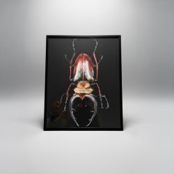 Moldura 64,5cm x 44,5cm